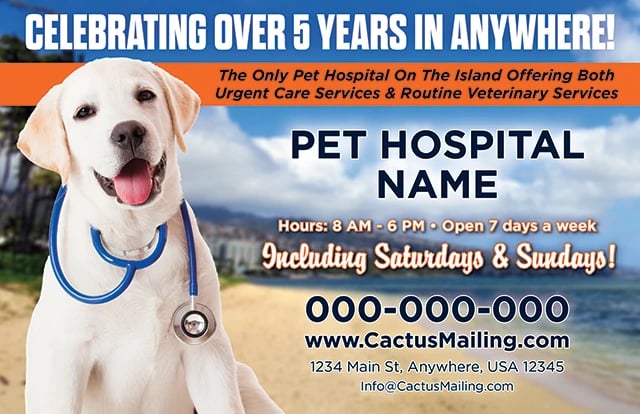 Sample pet services postcard