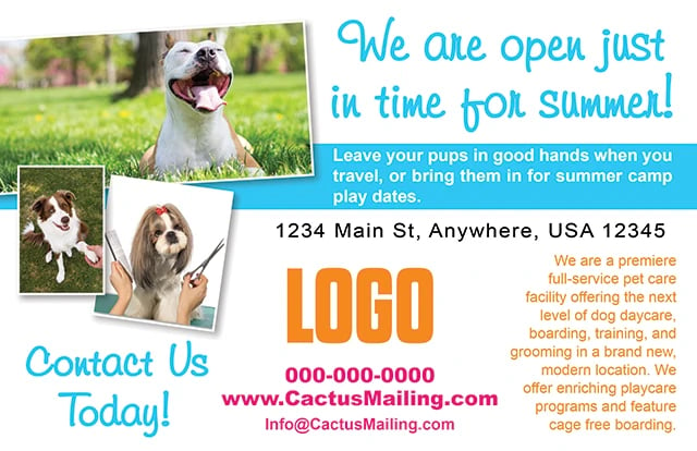 Sample pet services postcard