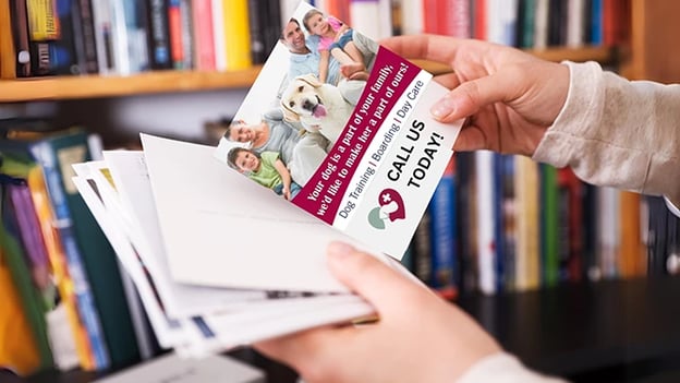 Pet services postcard being read by a person while holding other mail pieces