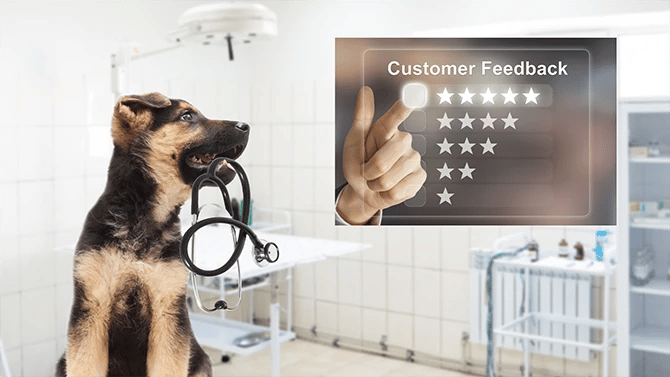 Dog holding a stethoscope looking at a customer’s hand pressing on a five star rating feedback