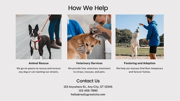 Sample image of a pet services website. 