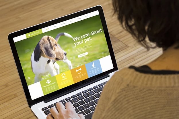 Pet owner looking at a veterinary website on her laptop