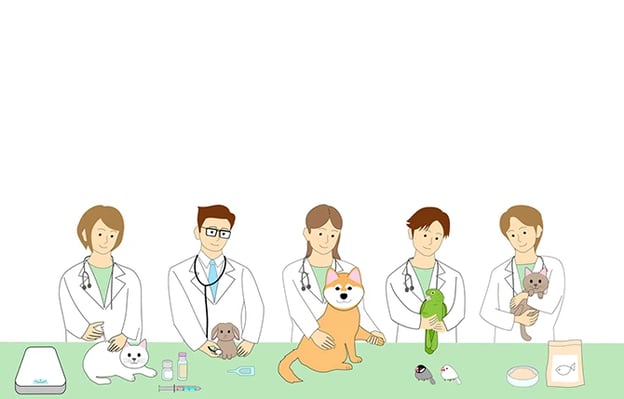 Illustration of veterinarians treating various pets 