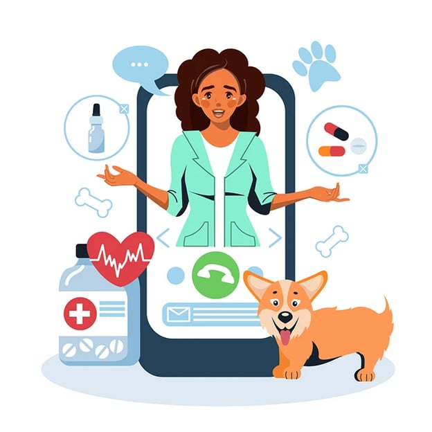 Vector illustration of pet owner wondering what to do