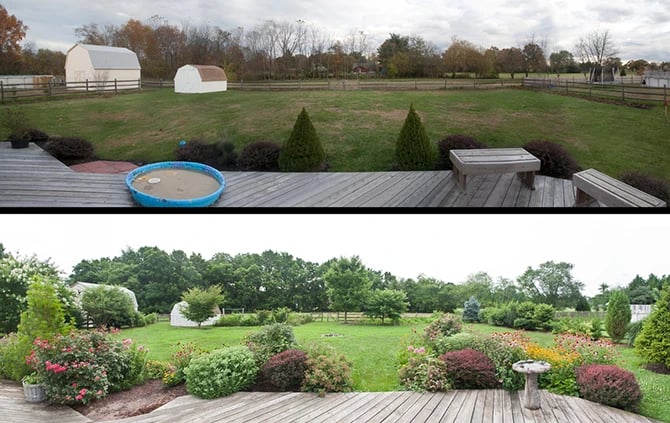 Transformation showing the Before and After of Landscaping