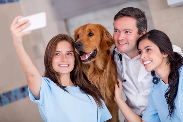Vet and clinic staff taking a selfie with a golden retriever patient