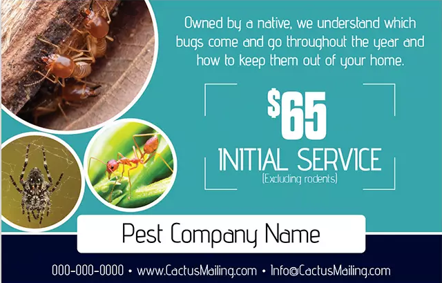 Effective_Pest_Control_Marketing_Postcard_Example_4_Front