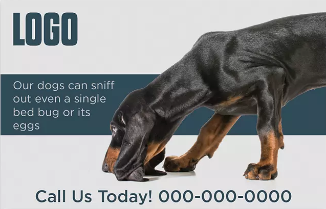 Effective_Pest_Control_Marketing_Postcard_Example_1_Front