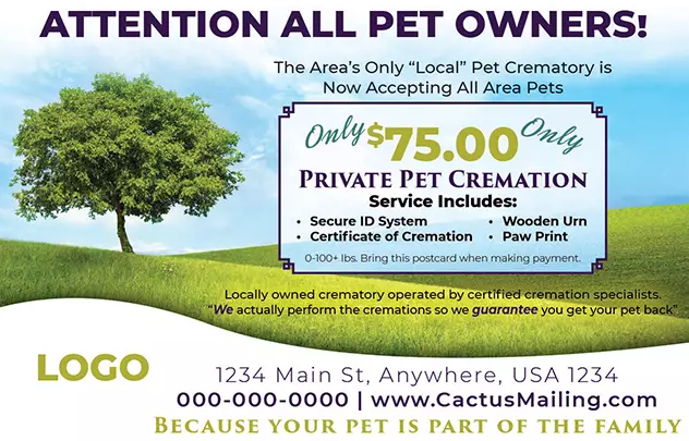 Effective_Veterinary_And_Pet_Service_Marketing_Postcard_Example_5_Front