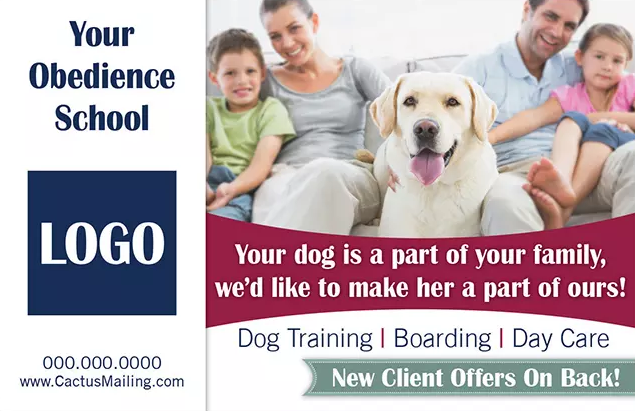 Effective_Veterinary_And_Pet_Service_Marketing_Postcard_Example_4_Front