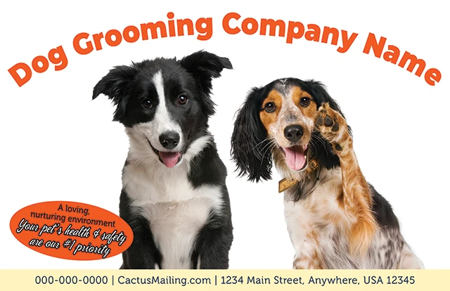 Effective_Veterinary_And_Pet_Service_Marketing_Postcard_Example_2_Front