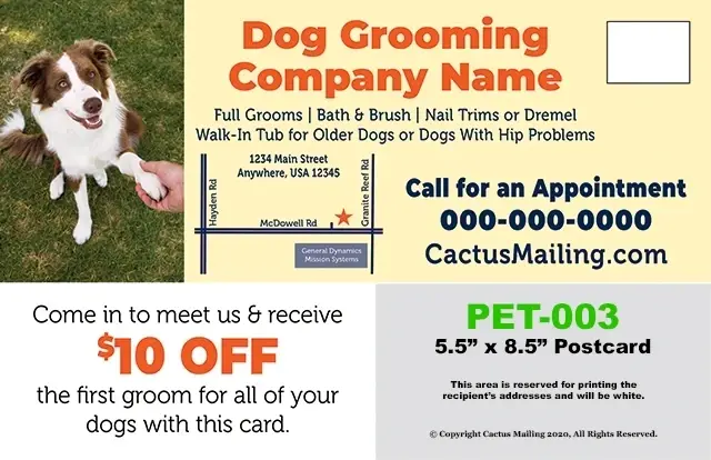 Effective_Veterinary_And_Pet_Service_Marketing_Postcard_Example_2_Back