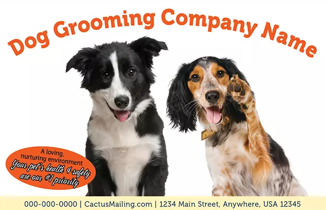 Effective_Veterinary_And_Pet_Service_Marketing_Postcard_Example_2_Front