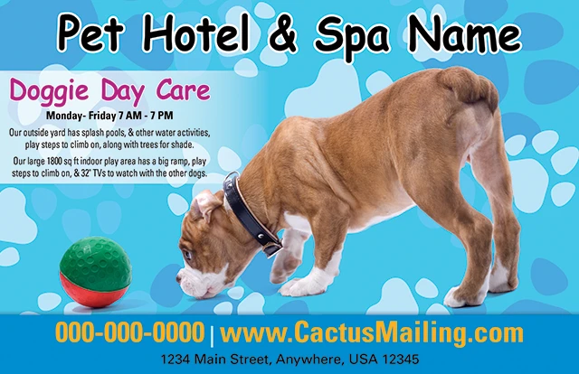 Effective_Veterinary_And_Pet_Service_Marketing_Postcard_Example_6_Front