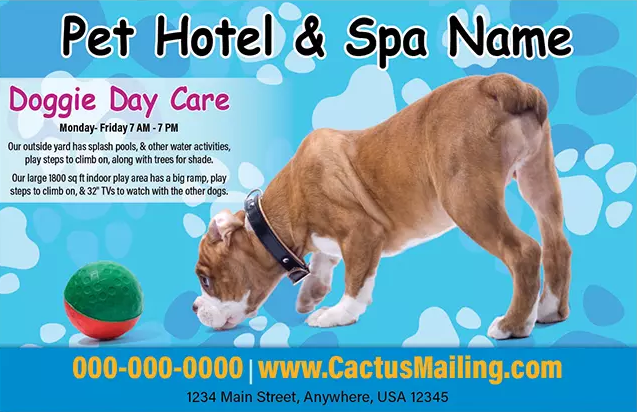 Effective_Veterinary_And_Pet_Service_Marketing_Postcard_Example_6_Front