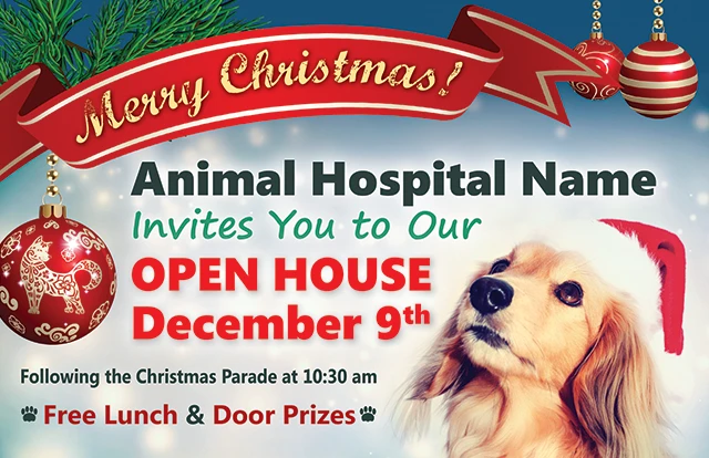 Effective_Veterinary_And_Pet_Service_Marketing_Postcard_Example_8_Front