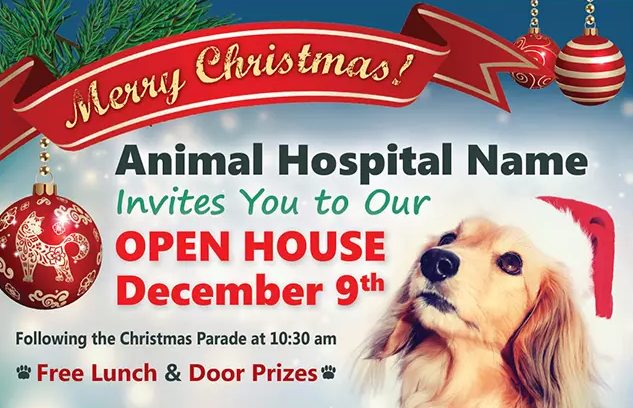Effective_Veterinary_And_Pet_Service_Marketing_Postcard_Example_8_Front