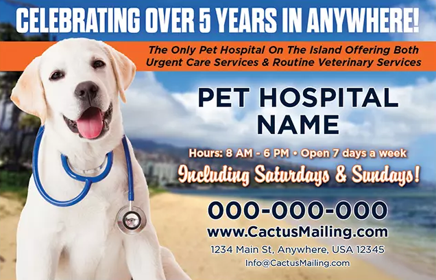 Effective_Veterinary_And_Pet_Service_Marketing_Postcard_Example_3_Front