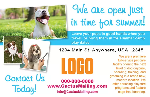 Effective_Veterinary_And_Pet_Service_Marketing_Postcard_Example_1_Front