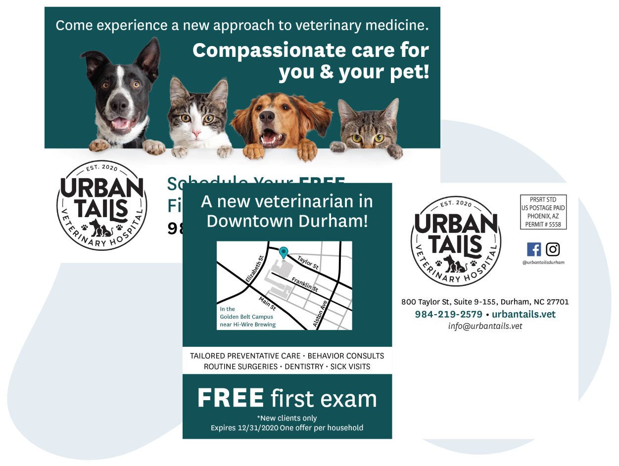 Example_Of_A_Verterinary_And_Pet_Service_Direct_Mail_Postcard