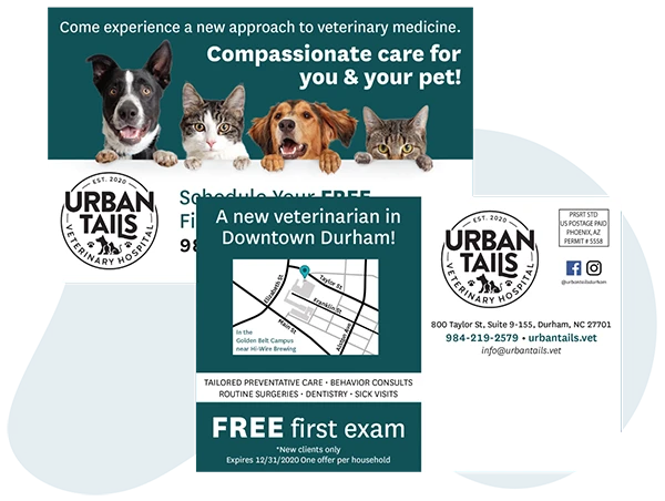 Example_Of_A_Veterinary_And_Pet_Service_Direct_Mail_Postcard