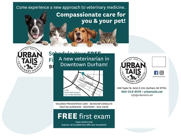 Example_Of_A_Veterinary_And_Pet_Service_Direct_Mail_Postcard