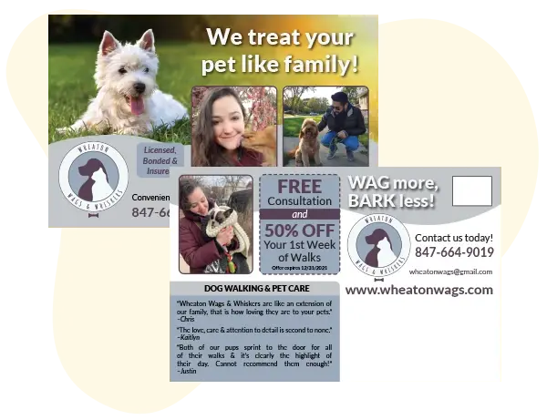 An example of an effective direct mail postcard for a dog walking company