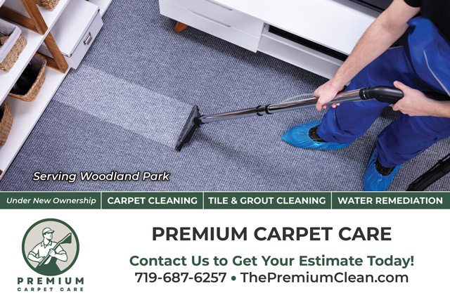 An example of the front of a direct mail postcard for a carpet care company