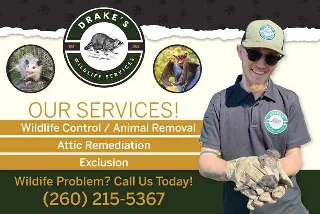 An example of the front of a direct mail postcard for an animal control services company