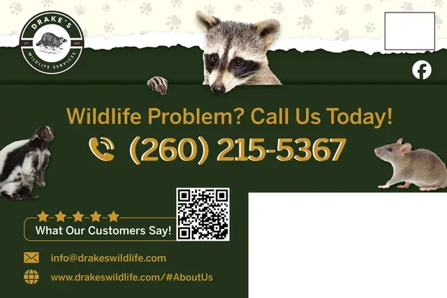 An example of the back of a direct mail postcard for an animal control services company