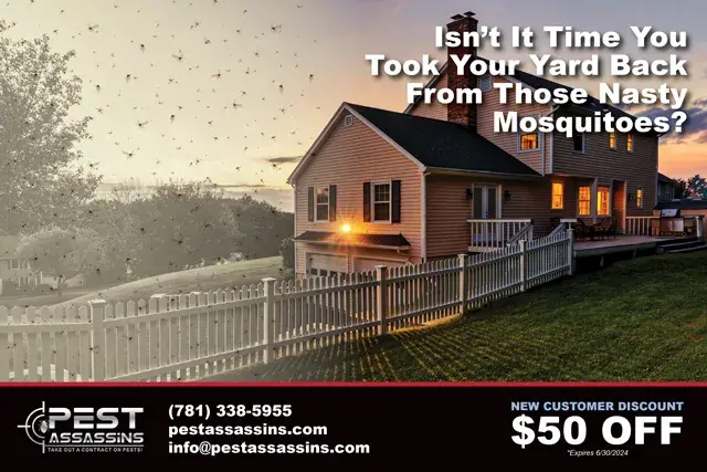 An example of the front of a direct mail postcard for a mosquito control company