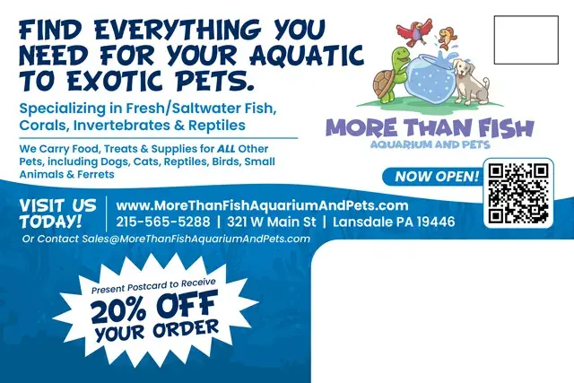An example of the back of a direct mail postcard for a pet store