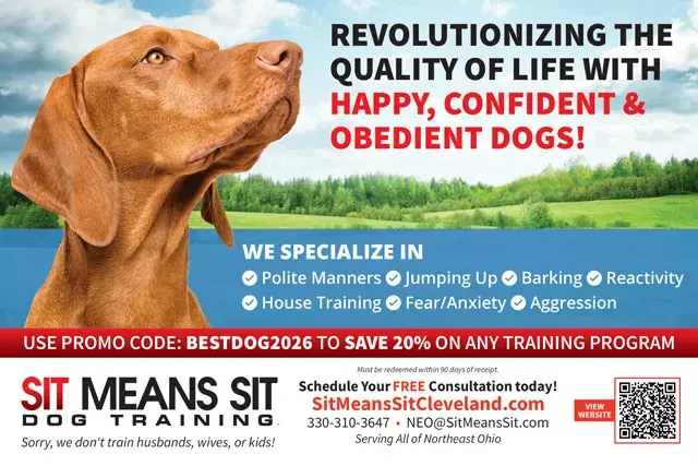 An example of the front of a direct mail postcard for dog training classes