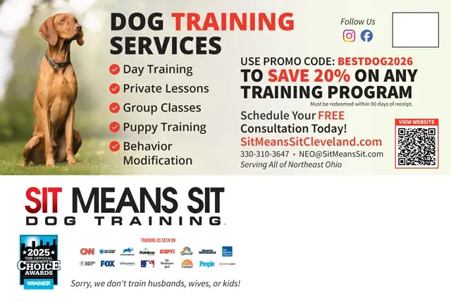 An example of the back of a direct mail postcard for dog training classes