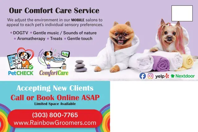 An example of the back of a direct mail postcard for pet grooming company