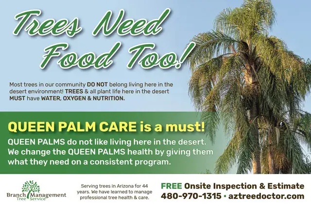 An example of the front of a direct mail postcard for a professional tree care service