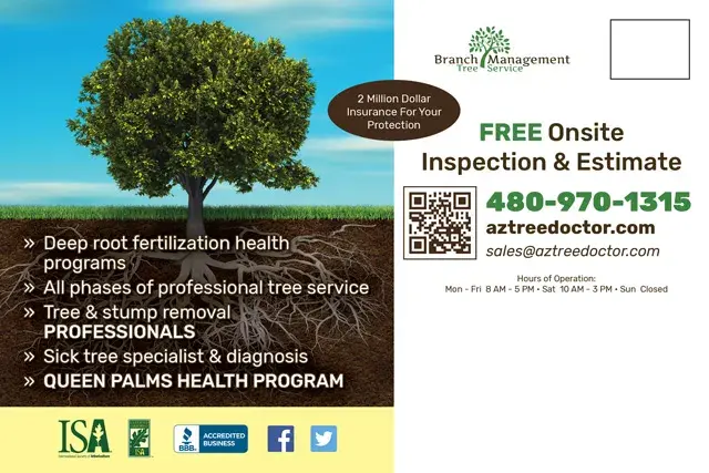 An example of the back of a direct mail postcard for a professional tree care service