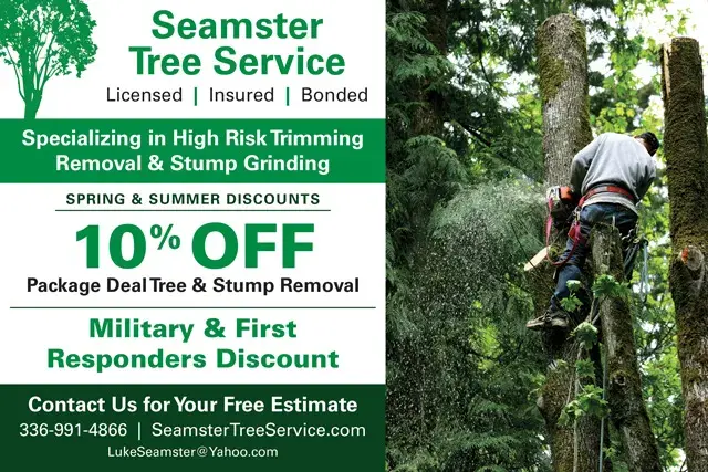 An example of the front of a direct mail postcard for a professional tree care service