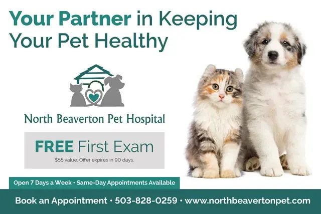 An example of the front of a direct mail postcard for a veterinary office