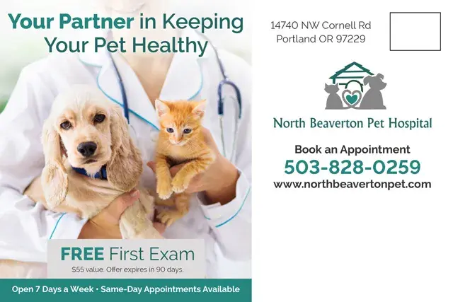 An example of the back of a direct mail postcard for a veterinary office