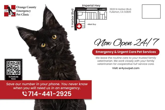 An example of the back of a direct mail postcard for an emergency pet clinic