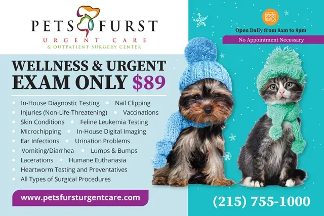 An example of the front of a direct mail postcard for a veterinarian