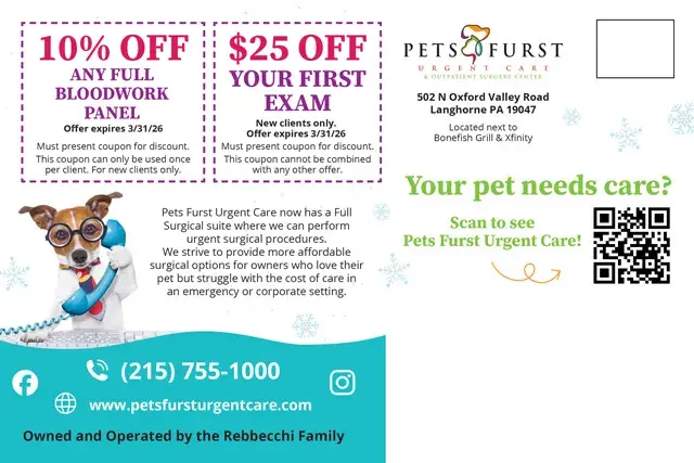 An example of the back of a direct mail postcard for a veterinarian