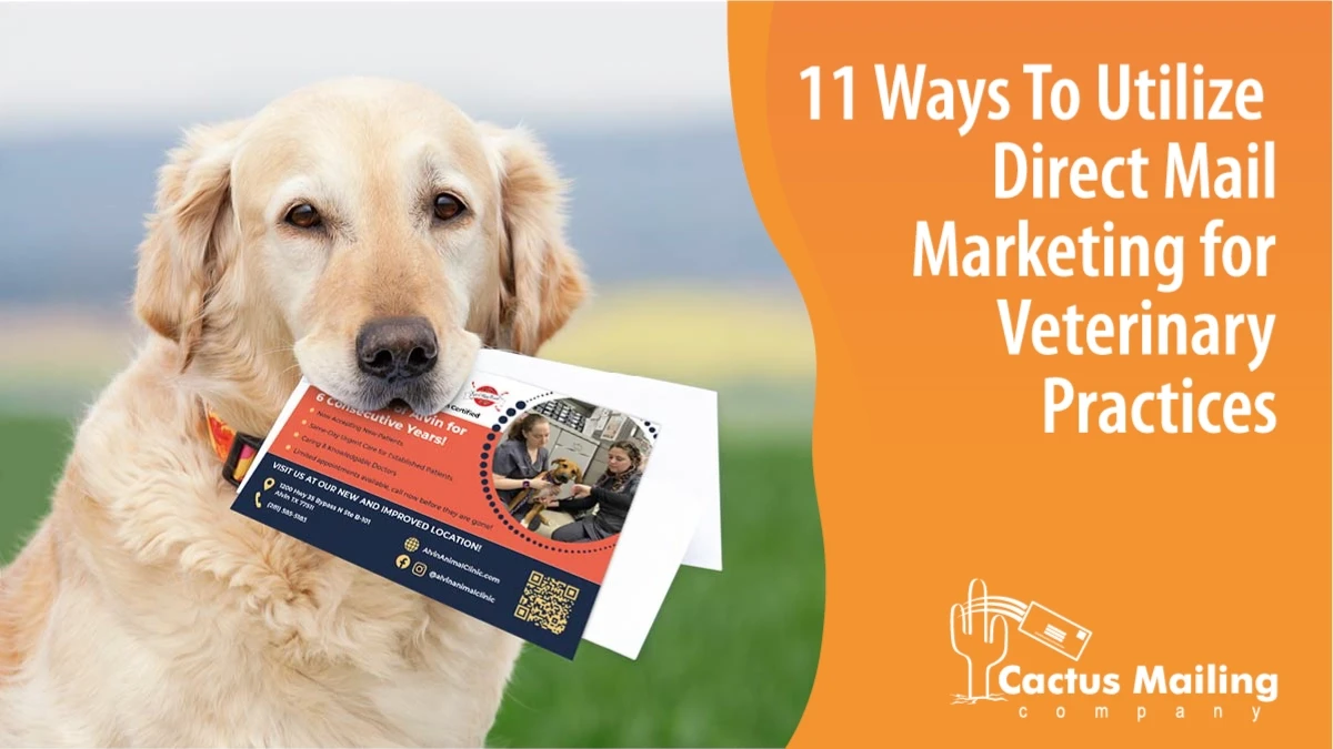 11 Ways To Utilize Direct Mail Marketing for Veterinary Practices