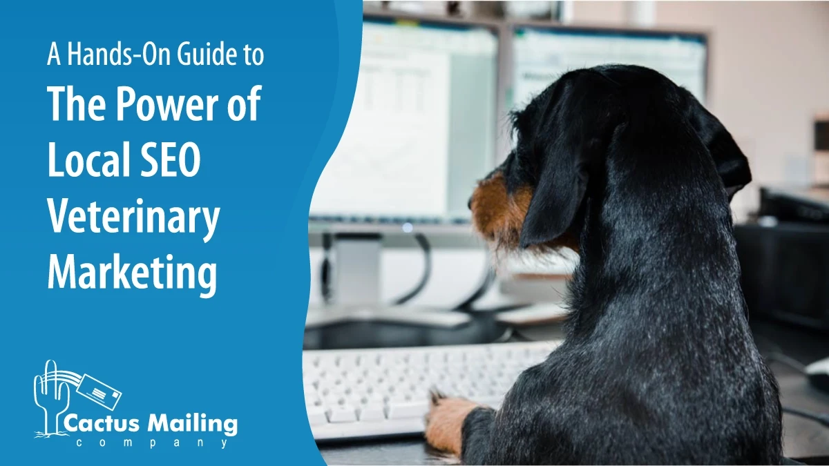The Power of Local SEO Veterinary Marketing: A Hands-On Guide
