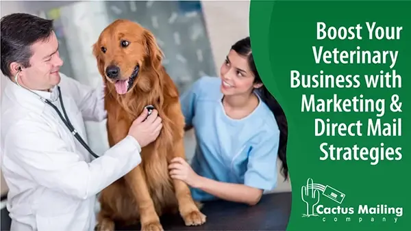 Boost Your Veterinary Business with Marketing & Direct Mail Strategies