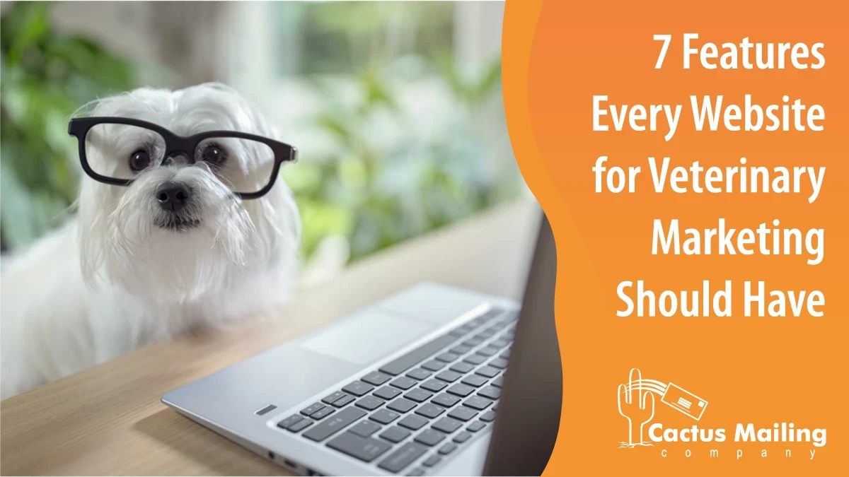 7 Features Every Website for Veterinary Marketing Should Have