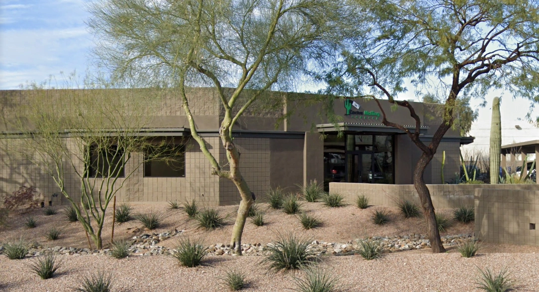 cactus-mailing-office-2